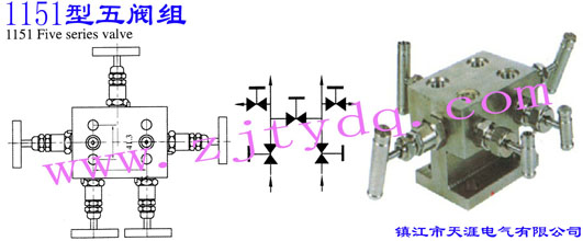 1151yM1151 Five Series Valve